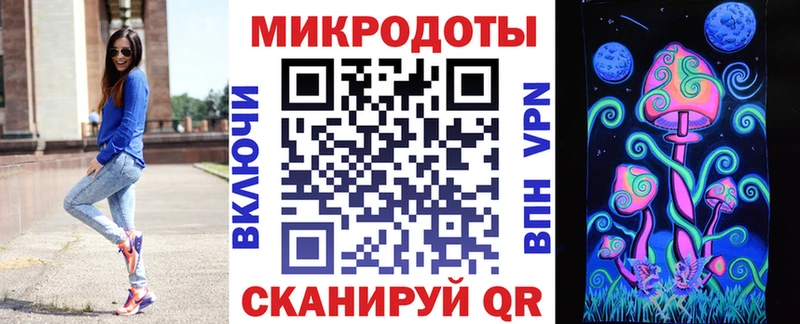 Псилоцибиновые грибы Psilocybe Жердевка